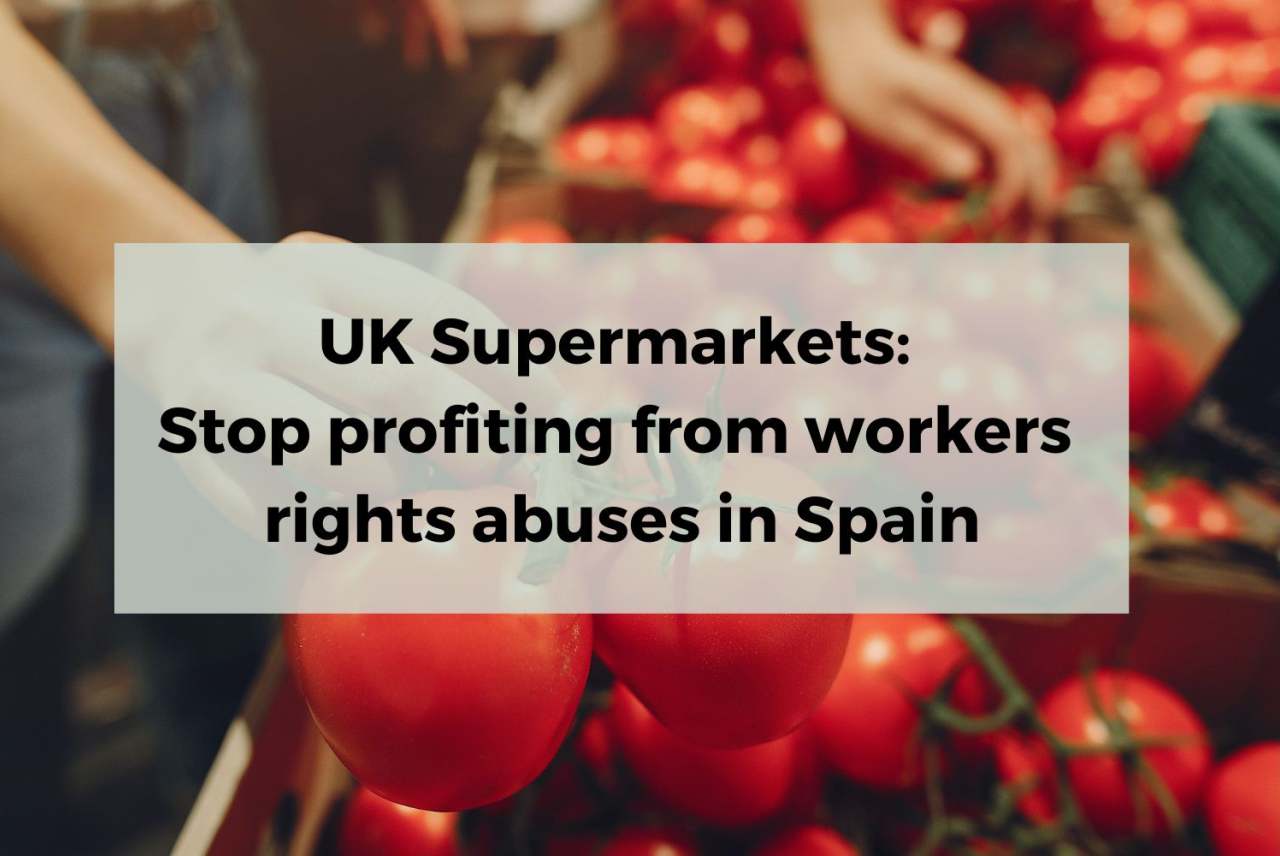 Campaign The fight for agricultural workers' rights in southern Spain